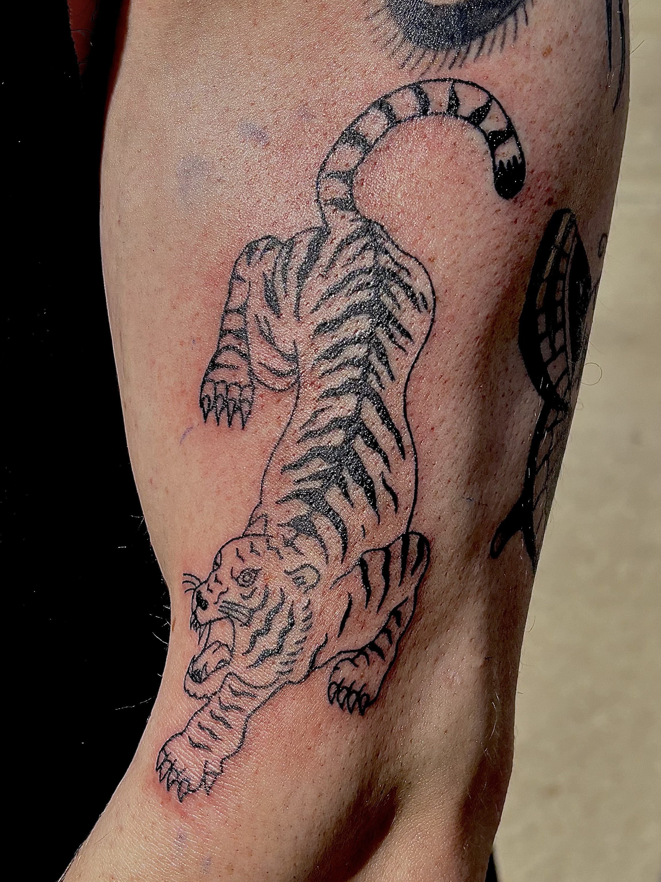 Traditional tattoo 5